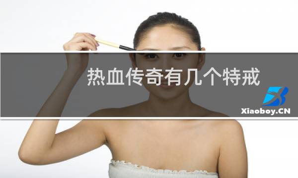热血传奇有几个特戒
