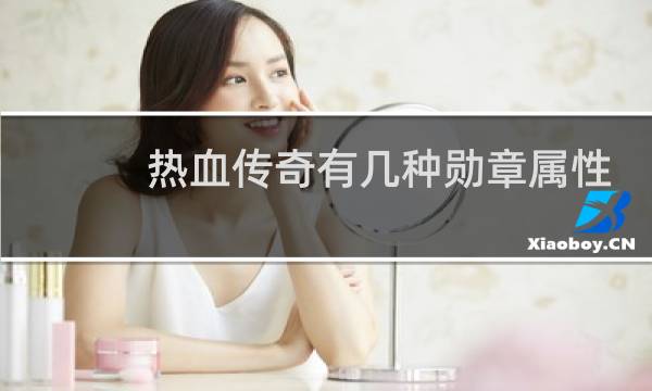 热血传奇有几种勋章属性