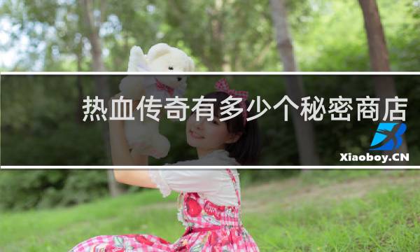 热血传奇有多少个秘密商店