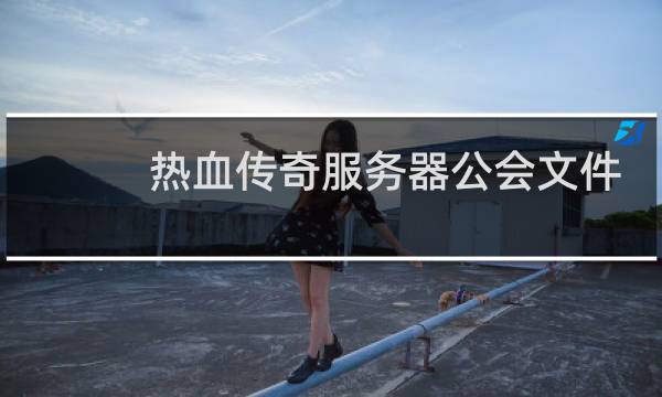 热血传奇服务器公会文件