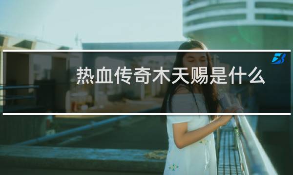 热血传奇木天赐是什么