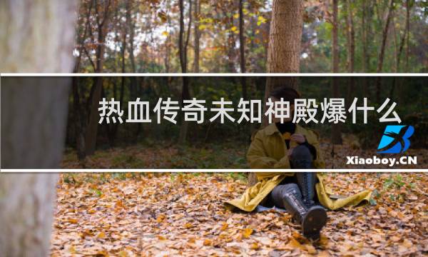 热血传奇未知神殿爆什么