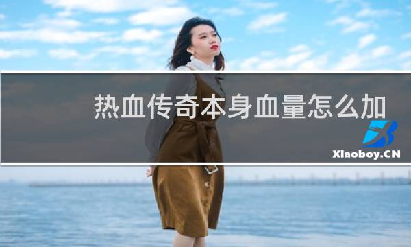 热血传奇本身血量怎么加