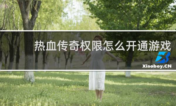 热血传奇权限怎么开通游戏
