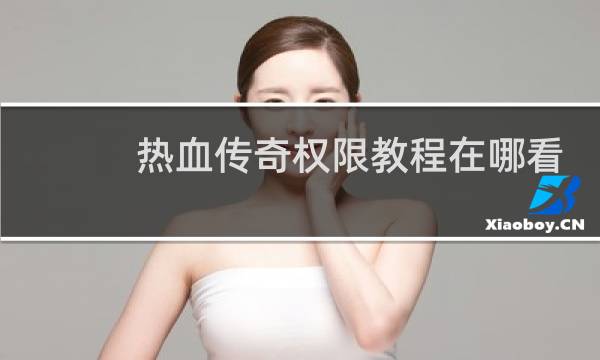 热血传奇权限教程在哪看