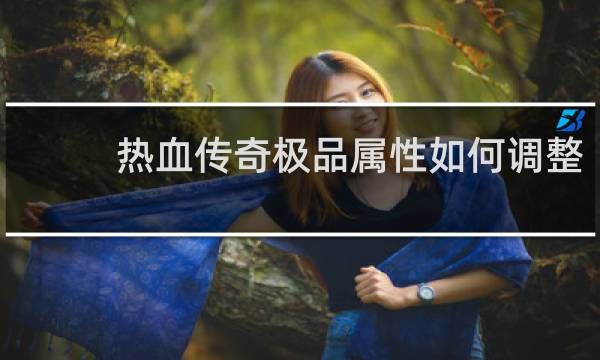 热血传奇极品属性如何调整