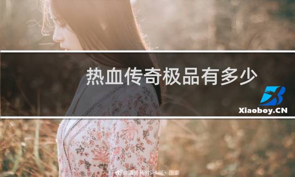 热血传奇极品有多少
