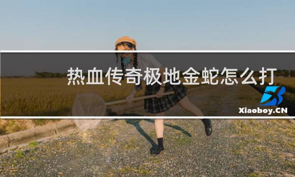 热血传奇极地金蛇怎么打
