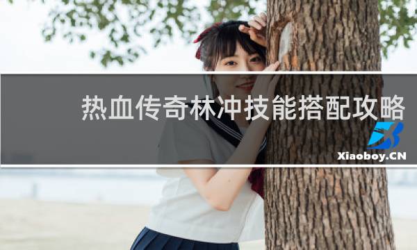 热血传奇林冲技能搭配攻略