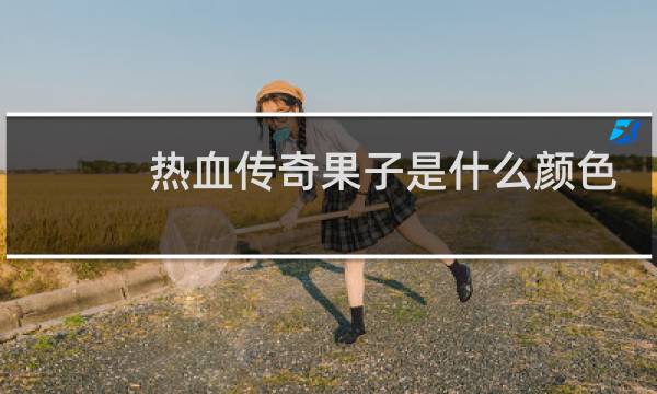 热血传奇果子是什么颜色