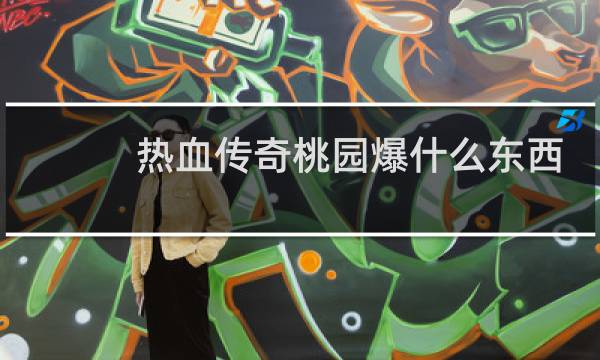 热血传奇桃园爆什么东西