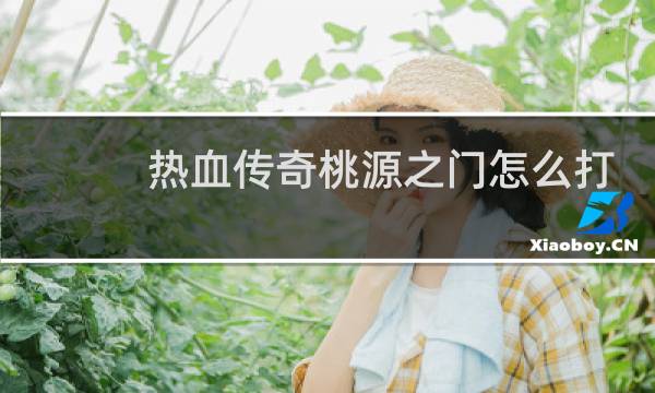 热血传奇桃源之门怎么打