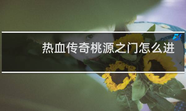 热血传奇桃源之门怎么进