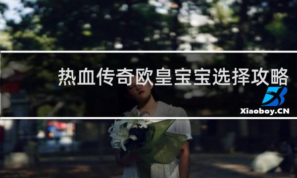 热血传奇欧皇宝宝选择攻略