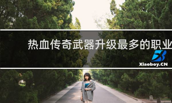 热血传奇武器升级最多的职业