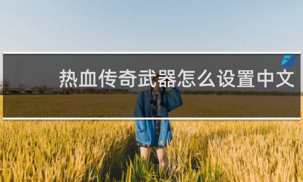 热血传奇武器怎么设置中文