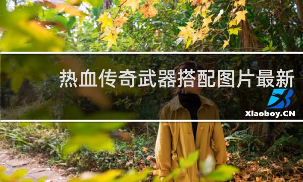 热血传奇武器搭配图片最新