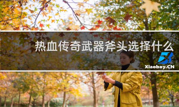热血传奇武器斧头选择什么