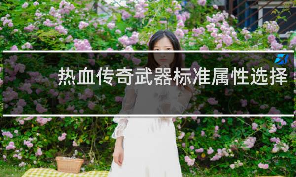 热血传奇武器标准属性选择