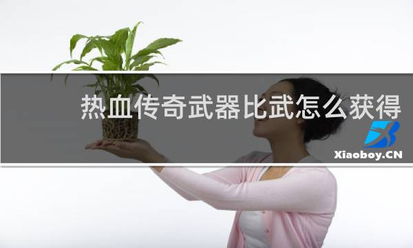 热血传奇武器比武怎么获得