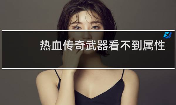 热血传奇武器看不到属性