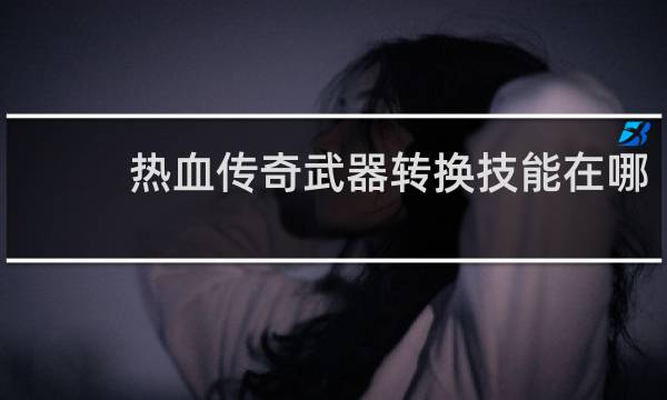 热血传奇武器转换技能在哪