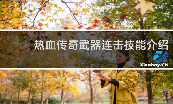 热血传奇武器连击技能介绍