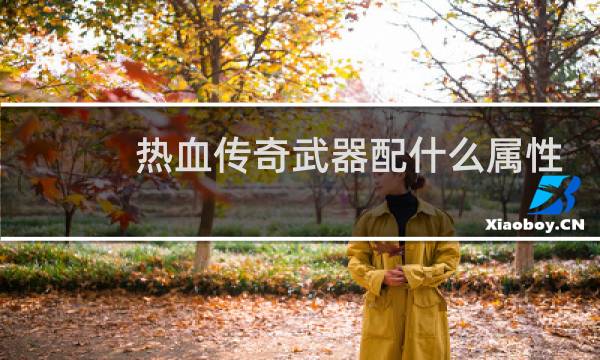 热血传奇武器配什么属性