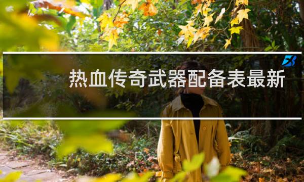 热血传奇武器配备表最新