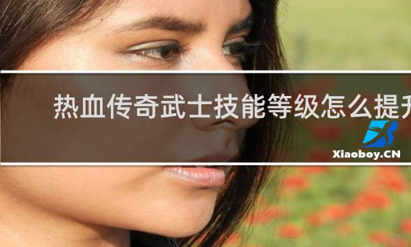 热血传奇武士技能等级怎么提升