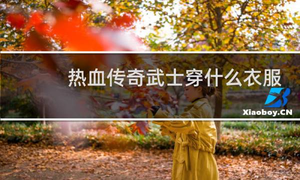 热血传奇武士穿什么衣服