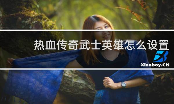 热血传奇武士英雄怎么设置
