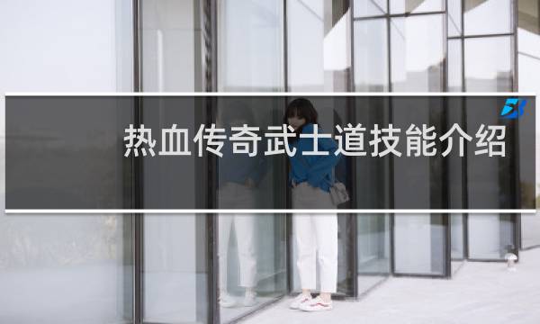 热血传奇武士道技能介绍
