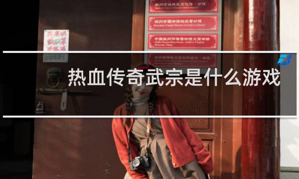 热血传奇武宗是什么游戏