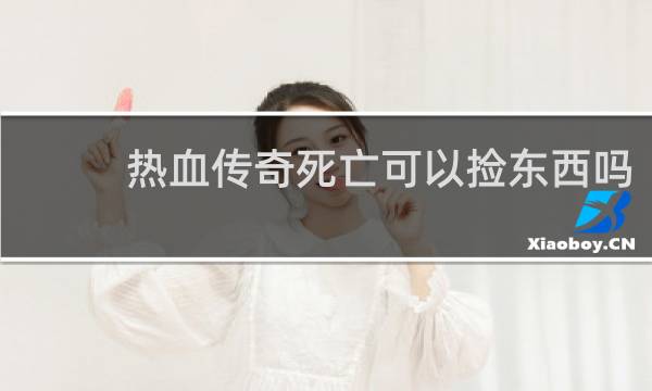 热血传奇死亡可以捡东西吗