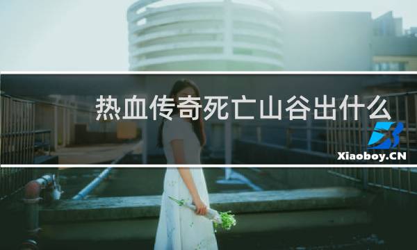 热血传奇死亡山谷出什么