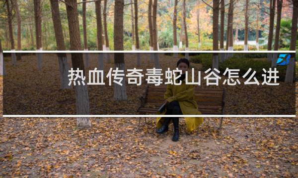 热血传奇毒蛇山谷怎么进
