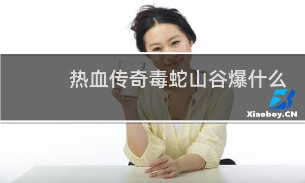 热血传奇毒蛇山谷爆什么