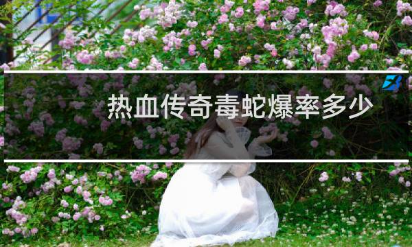 热血传奇毒蛇爆率多少