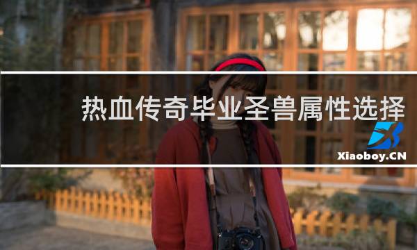 热血传奇毕业圣兽属性选择