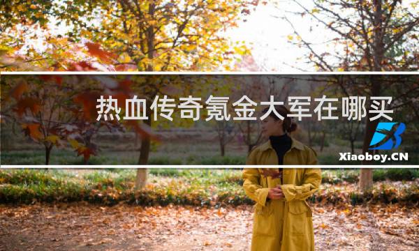 热血传奇氪金大军在哪买