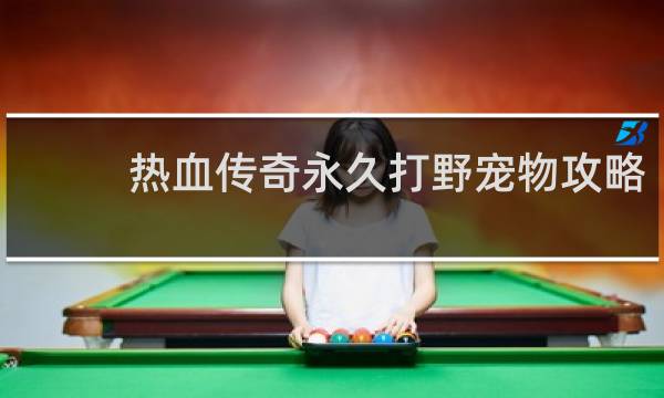 热血传奇永久打野宠物攻略