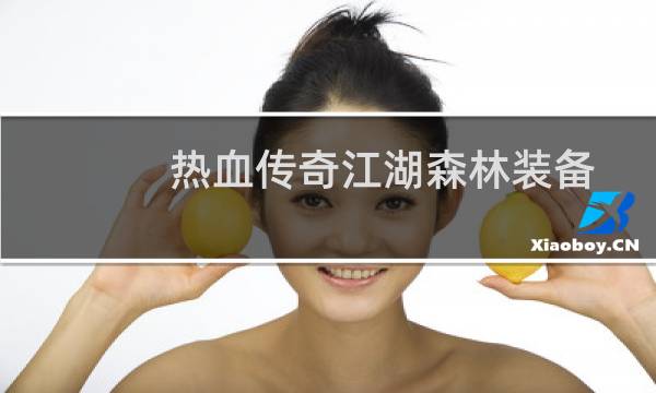 热血传奇江湖森林装备