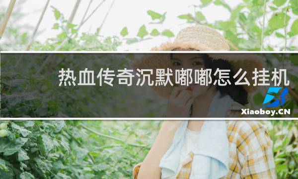 热血传奇沉默嘟嘟怎么挂机