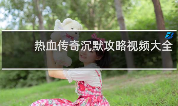 热血传奇沉默攻略视频大全