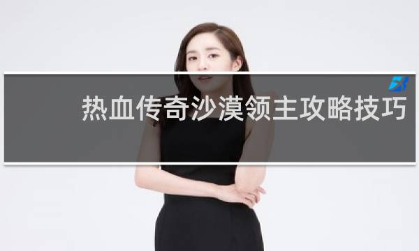 热血传奇沙漠领主攻略技巧