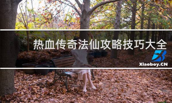 热血传奇法仙攻略技巧大全