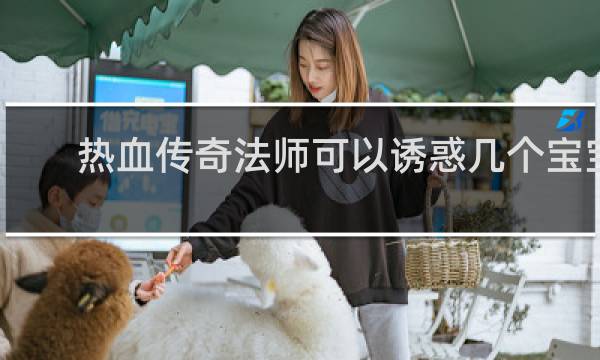 热血传奇法师可以诱惑几个宝宝