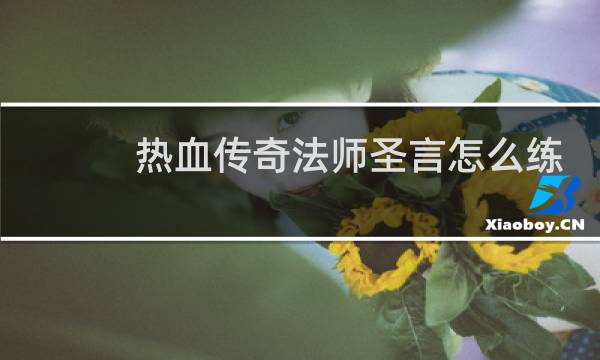 热血传奇法师圣言怎么练
