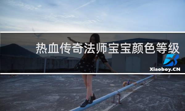 热血传奇法师宝宝颜色等级